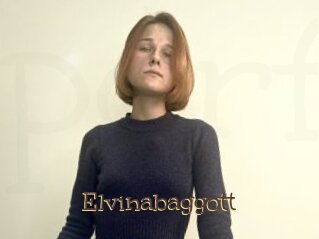 Elvinabaggott