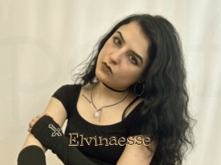 Elvinaesse