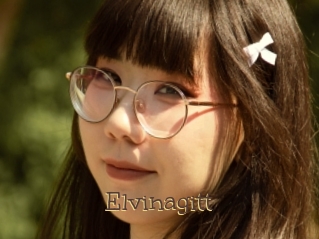 Elvinagitt