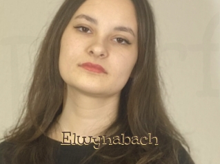 Elwynabach