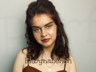 Elwynabench