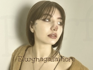 Elwynagallamore