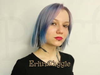 Erlinadiggle