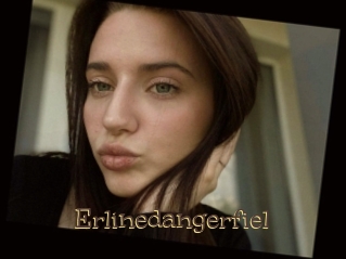 Erlinedangerfiel