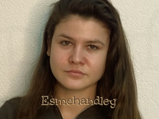 Esmehandley