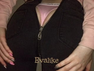 Evalike
