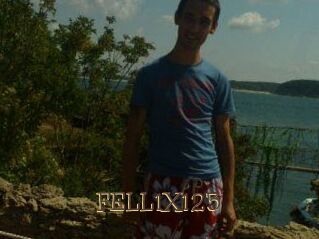 FELL1X123