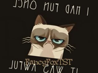 FancyFoxTST
