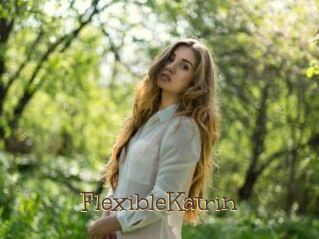 FlexibleKatrin
