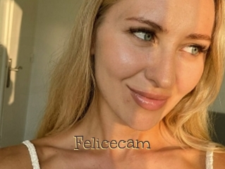 Felicecam