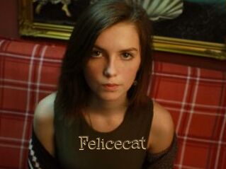 Felicecat