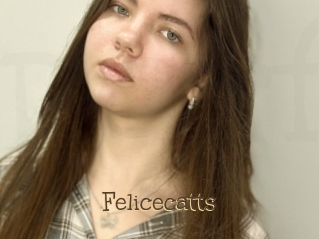 Felicecatts