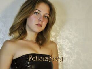 Feliciagrey
