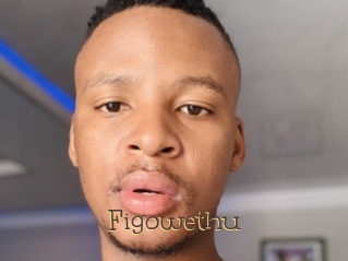 figowethu Porno FR