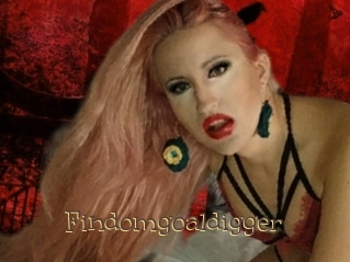 Findomgoaldigger