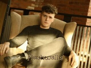 Flashwallis