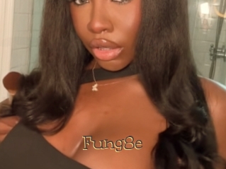 Fung8e