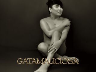 GATAMALICIOSA