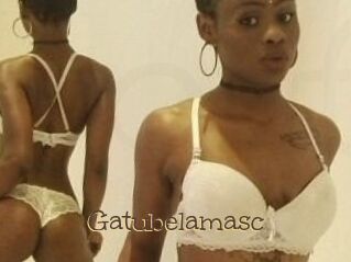 Gatubela_masc
