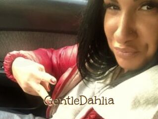 GentleDahlia