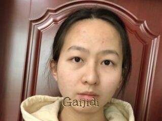 Gaijidi