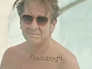 Galloboy4