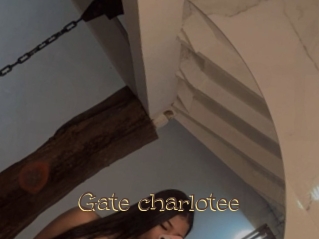Gate_charlotee