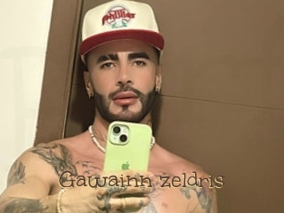 Gawainn_zeldris