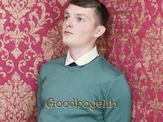 Goodboyelin