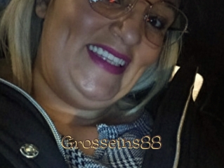 Grosseins88