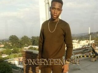 HUNGRYPENIS44 Porno FR