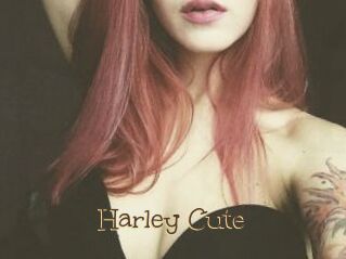 Harley_Cute