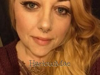 Harlow_Mae