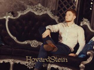 HovardStein Porno FR