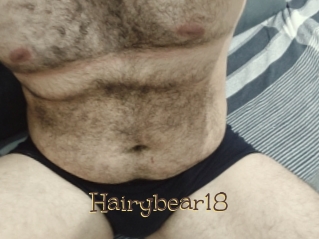 Hairybear18