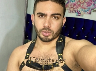 Hairyboyx
