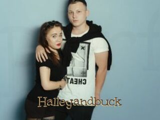 Halleyandbuck