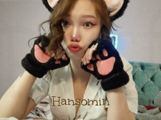 Hansomin