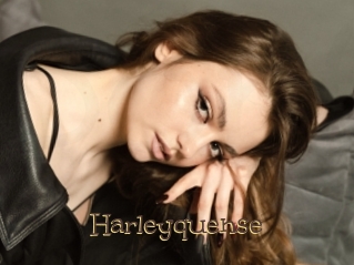 Harleyquense