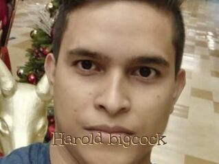 Harold_bigcock
