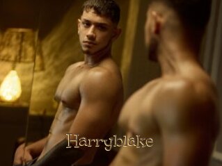 Harryblake