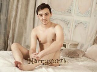 Harrygentle