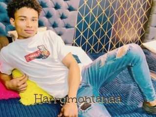 Harrymontanaa