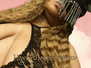 Havoctheeprofessor
