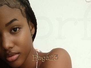 Haya23