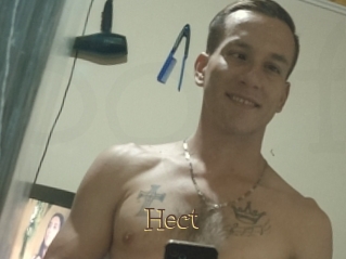 Hect
