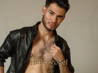 Heilervogel