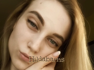 Hildabarns