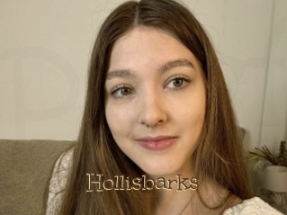 Hollisbarks