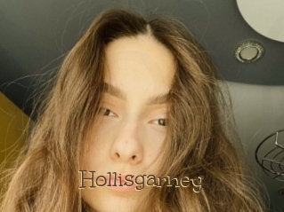 Hollisgarney